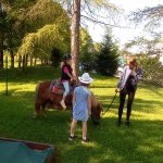 phoca_thumb_m_ponk 51 Fotogalerie